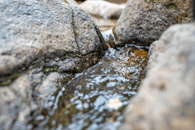 640?wx_fmt=gif&tp=webp&wxfrom=5&wx_lazy=1