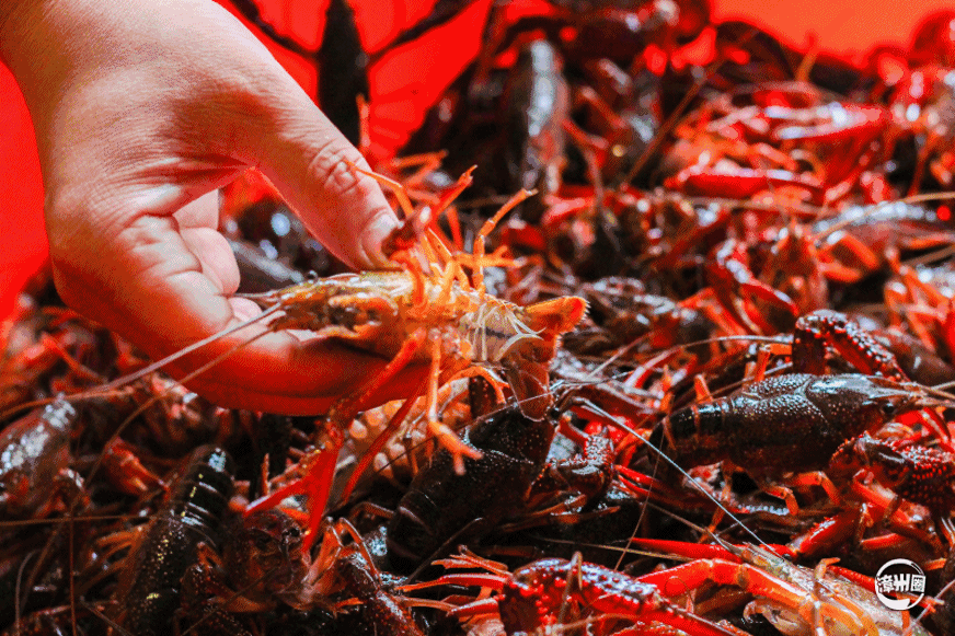 872_581gif 动态图 动图