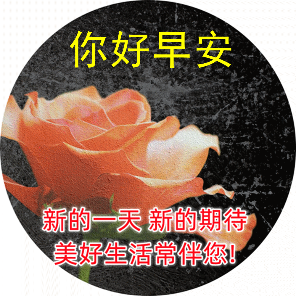 早安问候说说图片 人生,只有你自己想努力,才能真正的努力_非主流个性