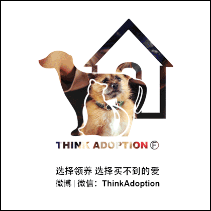 420_420gif 动态图 动图