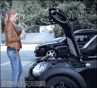 机油壳牌什么价位_壳牌机油分几种档次_机油品牌壳牌