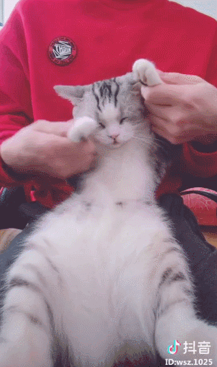 论带货王，我只服抖音！！