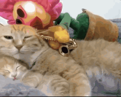 论带货王，我只服抖音！！