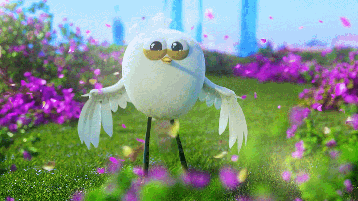 专属于#厦门人的表情包#即将上线!打工鹭可,冲浪鹭可,不躺平鹭可