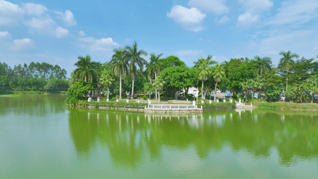 广州祈福黄金海岸独栋别墅建面144㎡~631㎡！