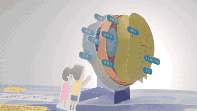 等渗冲洗液怎么用OK镜用什么水冲洗最安全？_https://www.jmylbn.com_新闻资讯_第25张