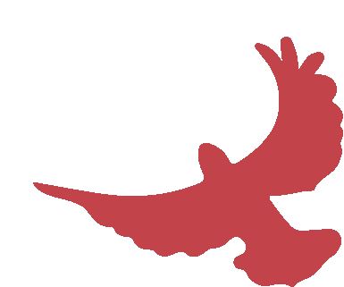 献血屋怎么开热血开年，爱心积分1.5倍升级_https://www.jmylbn.com_新闻资讯_第4张