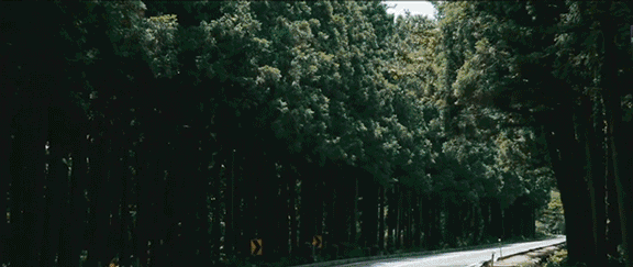 到森林去，生活原来美成这样……