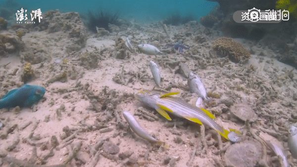 三分钟教你规避出境游的1000种意外，构建完美堡垒