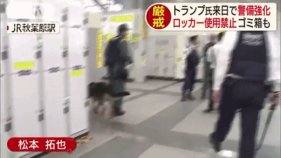 特朗普四天日本遊 安倍全程陪玩 當司機 擼烤串兒 看相撲 最後還倒貼了115億美元 東京新青年 微文庫