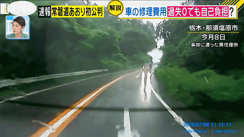 日本85岁老人撞死女高中生，法院判其无罪，本人却多次求重刑！（组图） - 8