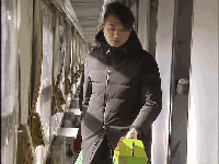 这趟烧煤的“便民巴士”火了