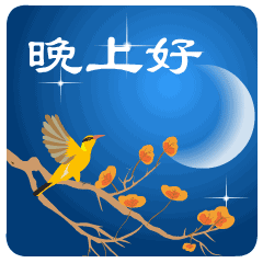 亲爱的晚上好 晚上好动画表情 晚睡心语 微信公众号文章阅读 Wemp