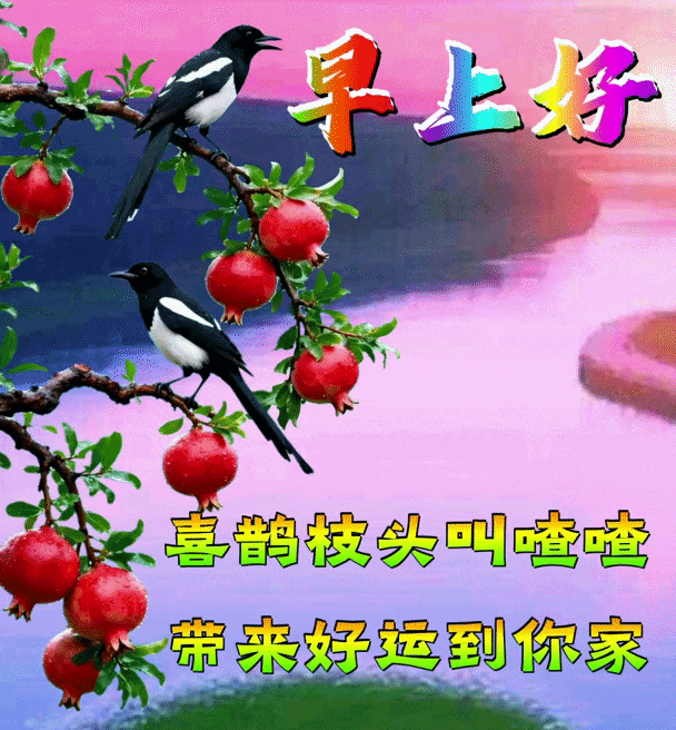 清晨微信报平安,相互牵挂心中暖!心宽看淡一切的早上好问候语精选