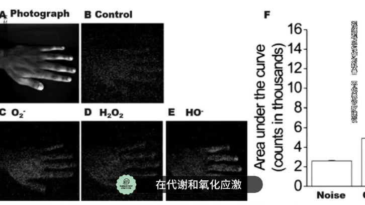 fa6100怎么使用丁妈深点评｜诺奖同源黑科技？深挖娇兰6100元「量子」超光CP_https://www.jmylbn.com_新闻资讯_第8张
