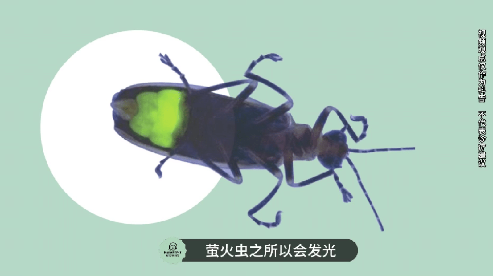 fa6100怎么使用丁妈深点评｜诺奖同源黑科技？深挖娇兰6100元「量子」超光CP_https://www.jmylbn.com_新闻资讯_第5张