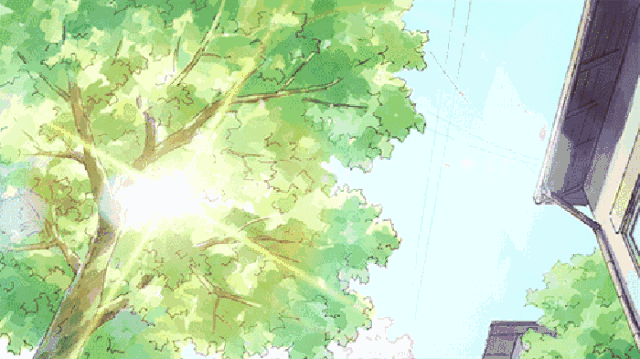 640 (2).gif