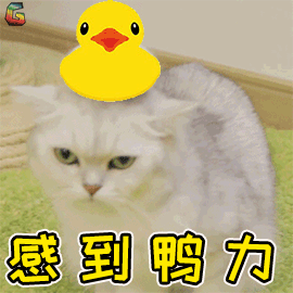 分配生/资格生冲刺班丨元调将至须前瞻，争取中考双保险！