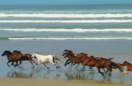 夜听： 你的人生哪一次考验，不都是“高考”？