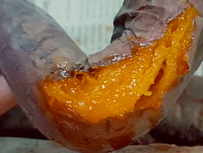 医用海藻棒怎么取建议两餐之间给娃吃点它！这几种食物营养高，娃吃了身体棒棒的_https://www.jmylbn.com_新闻资讯_第149张