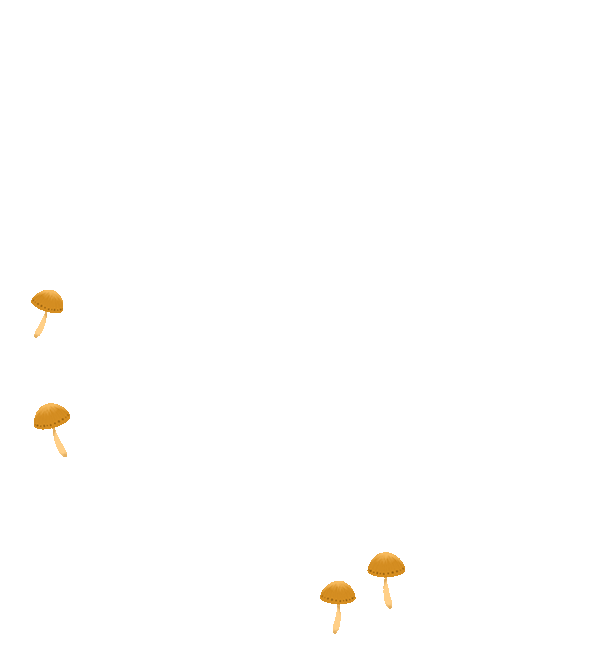幻灵碎片_幻境碎片_幻灵大陆幻灵碎片在哪