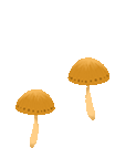 幻灵碎片_幻灵大陆幻灵碎片在哪_幻境碎片