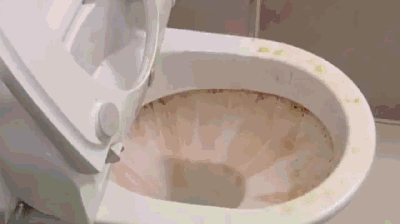 告别手刷马桶 10年尿垢一喷净 360 无死角 白到发光 清香防臭 麦格时光 微信公众号文章阅读 Wemp