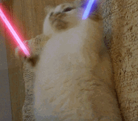 webwxgetmsgimg.gif
