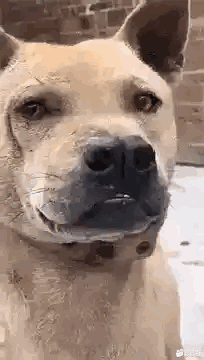 204_360gif 动态图 动图