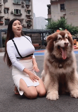 美女逗狗逗猫所引出的问题-微信头条网 美女逗狗逗猫所引出的问题
