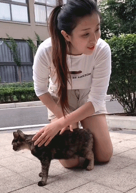 美女逗狗逗猫所引出的问题-微信头条网 美女逗狗逗猫所引出的问题