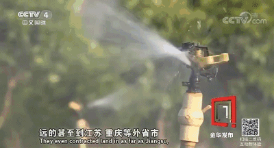 浙中花海美爆央视屏幕！看金华走出了一条怎样的乡村致富之路→