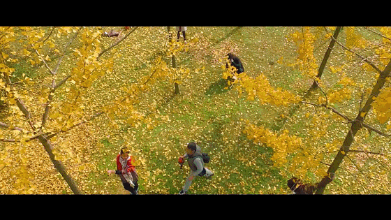 宁夏教育安全平台_成都教育安全平台登陆_金华安全教育平台