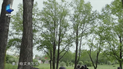 爱情，是什么？