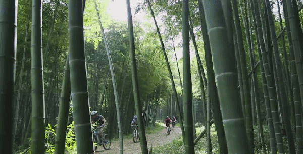 2020航空夏令营-607 