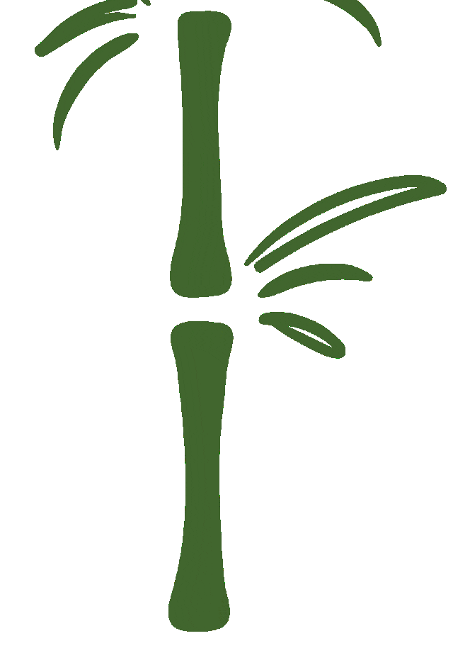 一年一端午，一歲一安康