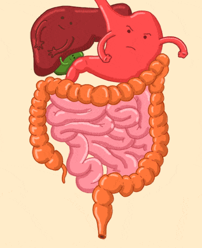 经常放屁是肝脏不好？频繁放屁的人，一般会有这3个习惯