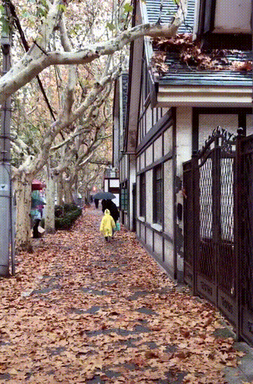 路邊野花不採白不採 文學城博客