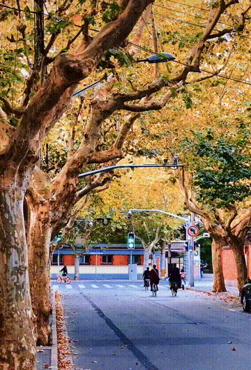 路邊野花不採白不採 文學城博客