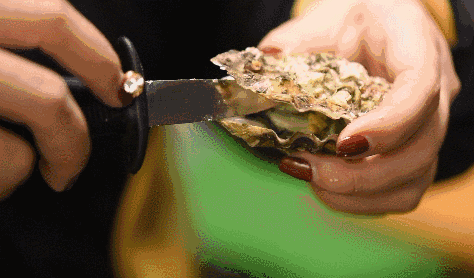 花生时尚漫生活生蚝花艺大海的味道