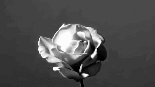 头发生长的三大关键！你知道吗？