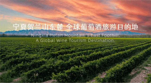 探秘中国马瑟兰｜葡萄酒文化的东方新章