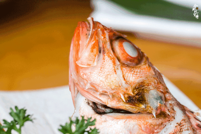 15層道路燒肉放題來了！人均200+怒刷石斑魚、活海膽、紐西蘭鰲蝦… 美食 第30張