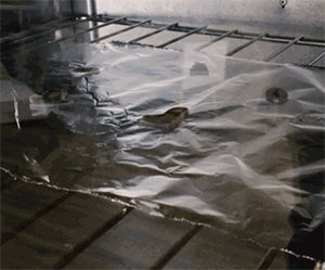 电脑连不上打印机_打印小票机无法打印_电脑打印东西打印印机没反应