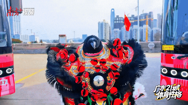 南方+ 潘洁 制图