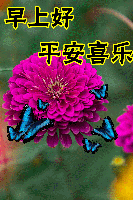 10月5日最漂亮的鲜花早上好动态图片大全 美景早上好动态问候语 心心祝福 微信公众号文章 微小领