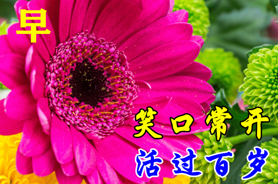 8月17日最漂亮早上好动态表情图片大全早上好动图美图大全