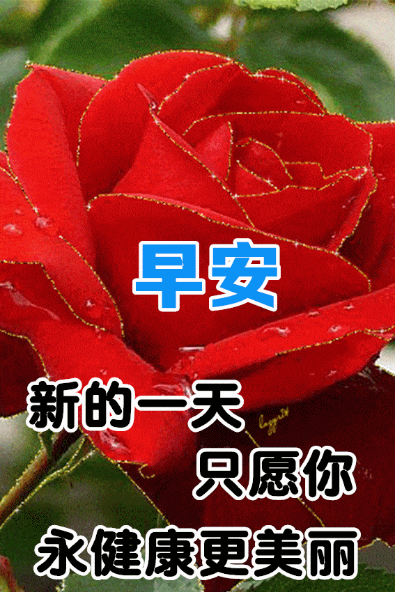 10月2日最新早上好表情图片大全早上好祝福动态图片问候语