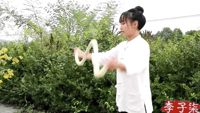 年收入5亿，消失800多天，李子柒露面，已今非昔比！