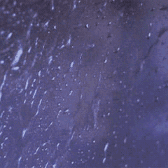 冷空气|冷空气强势“补刀”，揭阳最低气温降至…